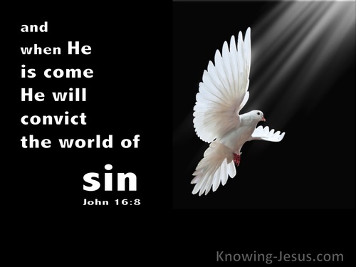 6 Bible Verses About The Comforter
