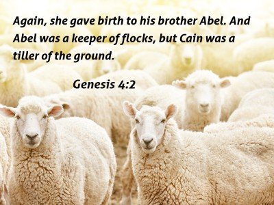 27 Bible Verses About Abel And Cain