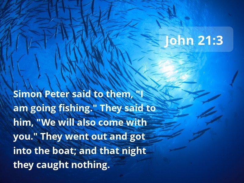 16 Bible verses about Fishing