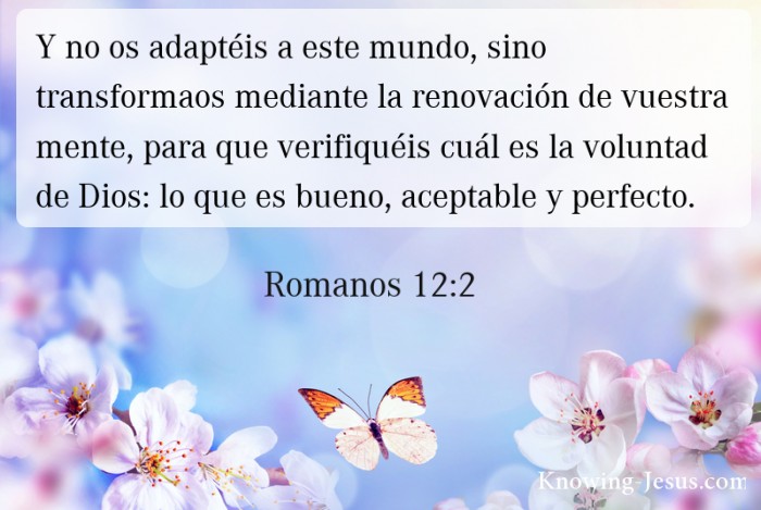 62 Bible verses about La Santificación, La Naturaleza Y La Base