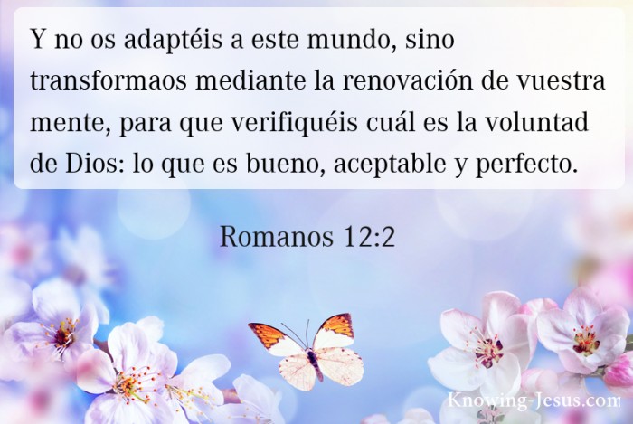 25 Versículos de la Biblia para el Día de las Madres