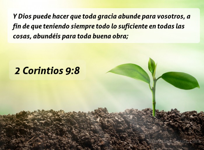 16 Bible verses about La Gracia De Dios,