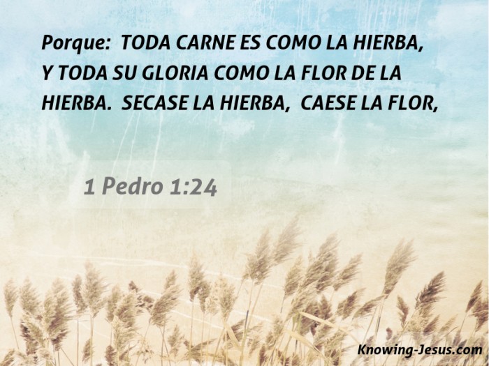 25 Versículos de la Biblia para el Día de las Madres