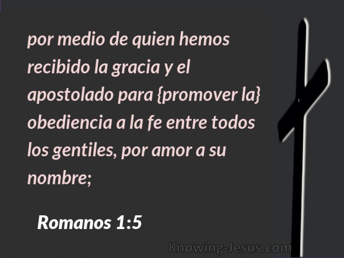 65 Bible verses about Los Evangelistas, Ministerio De