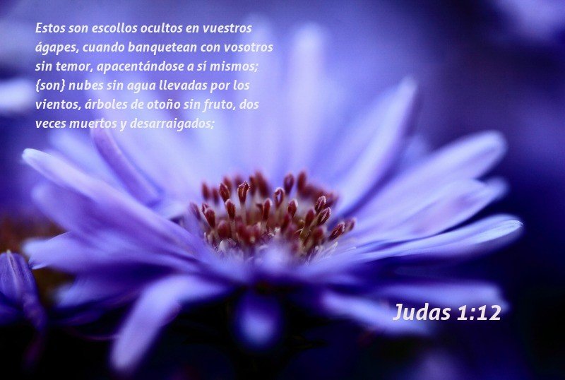 22 Bible verses about Fiesta De Amor 22 Bible verses about Fiesta De Amor