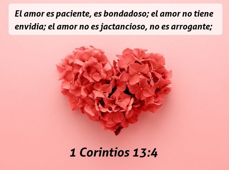 146 Bible verses about Amor