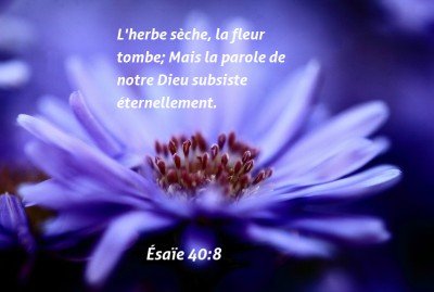 65 Versets De La Bible A Propos De Vie Humaine