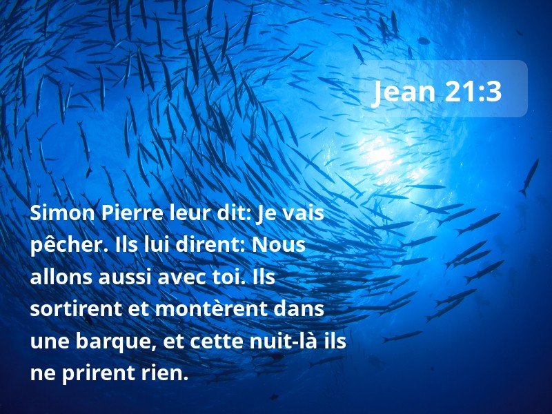 16 Versets De La Bible Sur Pecher